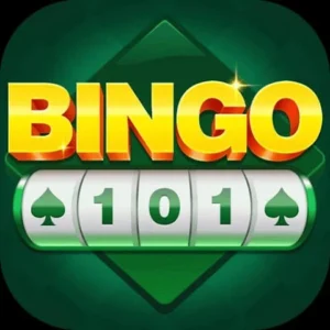 Bingo-101